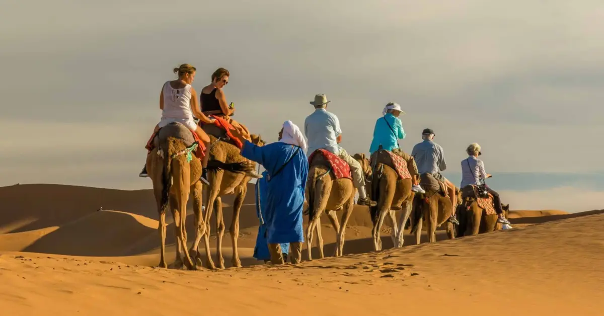 Tour guide in Marrakech and Essaouira with camel
